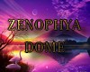 Zen Dome Dream