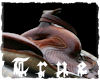 {TRUE} Country Saddle