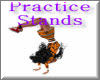 Cheer Practice Stands