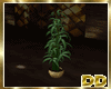 [DD] Green Plant 2
