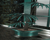 Fantasie Palm Pot