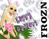 Happy Easter! ~~Bunny