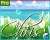 🌾 Beach Grass