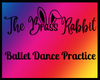 [B] Ballet Practice Beam