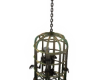 00 Hanging Skeleton