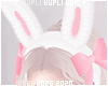 $K Kawaii Bunny Ears