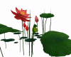 Red Lotus 2