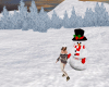 Skate with Snowman