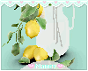 ♡ Lemon plant