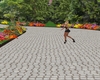 6P Tribal3 Dance