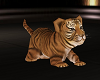 Den Baby Yellow Tiger
