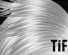 [TiF] DOLCE silver