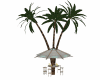 TABLE&PALMS
