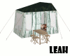 Tent (tree)