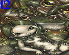 Bed of Frogs