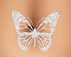 SL Butterfly Belly 