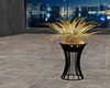 black gold plant