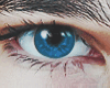 Eyes Persia Blue