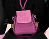 Diana Bag
