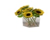 {LS} Sunflower Tin Vase