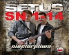 SETUS - niecierpliwa