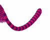 Cheshire Cat Tail