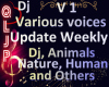 QlJp_Dj Various Voice V1