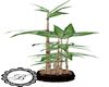 Bamboo Plant Pot