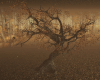 AUTUMN TREE ANIM