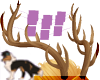 *S* Derivable Antlers