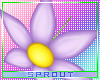 ⓢ Fleur Parasol Lilac
