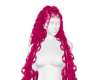 ꕥ Boho Rose