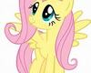 fluttershy :D