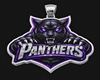 Panthers-girls