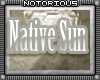 Native Sun  Attic