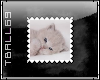 Cute Kitty Stamp