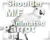 R|C Parrot Snow M/F