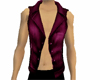 !!LL! Ed  purple vest