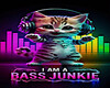 DJ Kitten