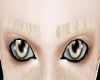 (H) Eyebrows-Albino