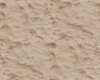 BEACH FLOOR