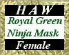 Royal Green Ninja Mask