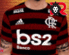 🦁 FLAMENGO