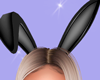 Bunny Ears Black
