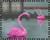 ™Lake Flamingos
