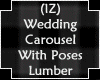 Wedding Carousel 3Poses