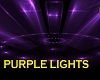 PURPLE PLUM  LIGHTS