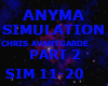 ANYMA SIMULATION /PART2