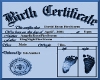 Birth Certificate David