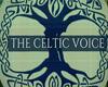 Celtic voice p2